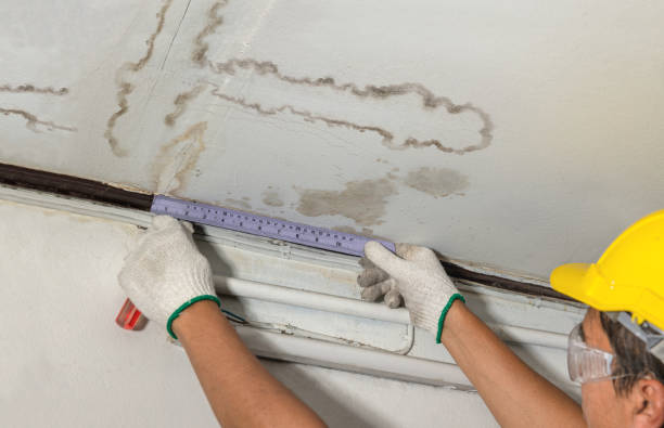 Reliable Mold Remediation contractor in Boonville, IN by Water Damage Irwin